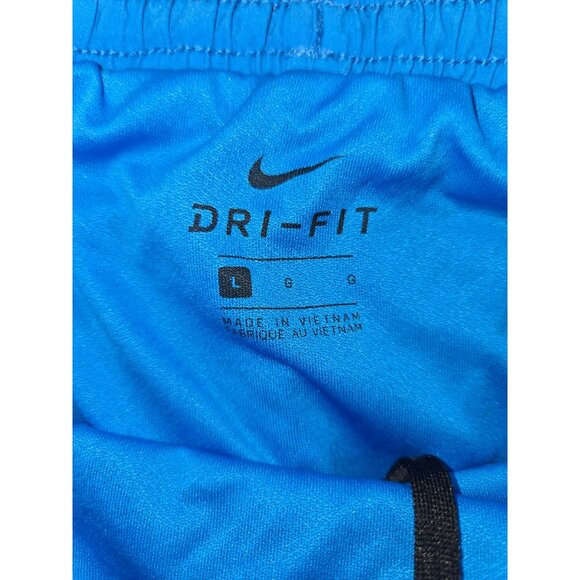 Nike Dri-Fit Mens Blue Athletic Shorts Size Large - Picture 3 of 7